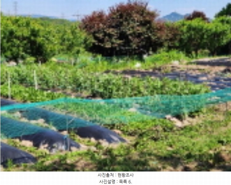 2024타경2763 경기도 양주시 어둔동 383-6 농지 경매 이미지