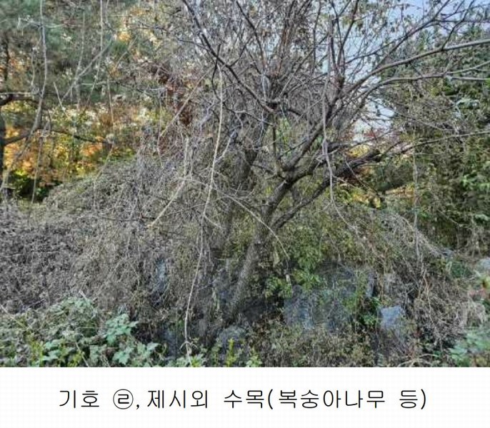2024타경2763 경기도 양주시 어둔동 383-6 농지 경매 이미지