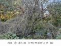 2024타경2763 경기도 양주시 어둔동 383-6 농지 경매 이미지
