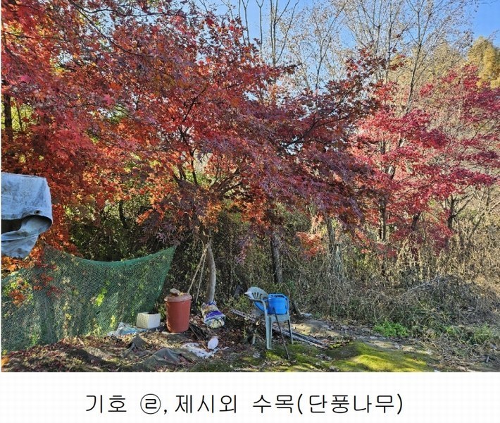 2024타경2763 경기도 양주시 어둔동 383-6 농지 경매 이미지