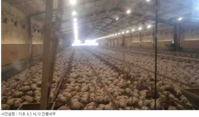 2024타경3193 강원특별자치도 철원군 철원읍 율이리 256-20 농가관련시설 경매 이미지
