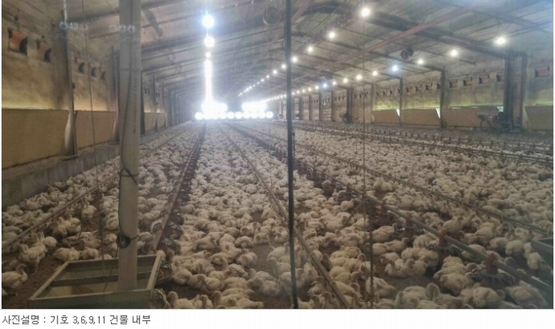 2024타경3193 강원특별자치도 철원군 철원읍 율이리 256-20 농가관련시설 경매 이미지