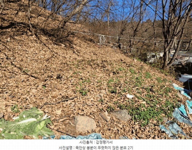 2025타경2326 경기도 양주시 장흥면 석현리 산167 임야 경매 이미지