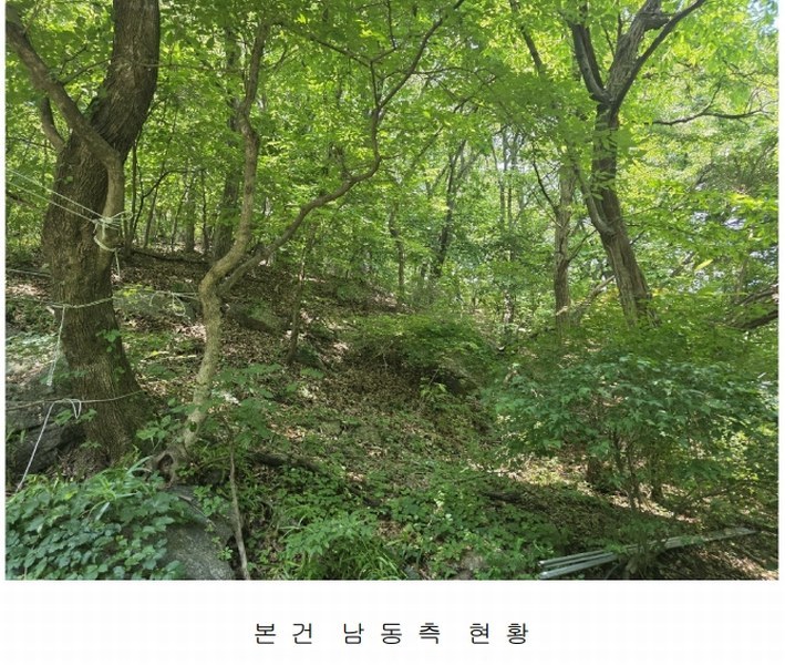 2025타경2326 경기도 양주시 장흥면 석현리 산167 임야 경매 이미지
