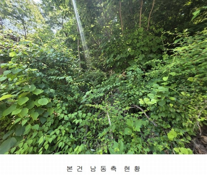 2025타경2326 경기도 양주시 장흥면 석현리 산167 임야 경매 이미지