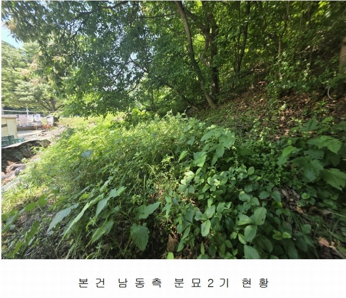 2025타경2326 경기도 양주시 장흥면 석현리 산167 임야 경매 이미지