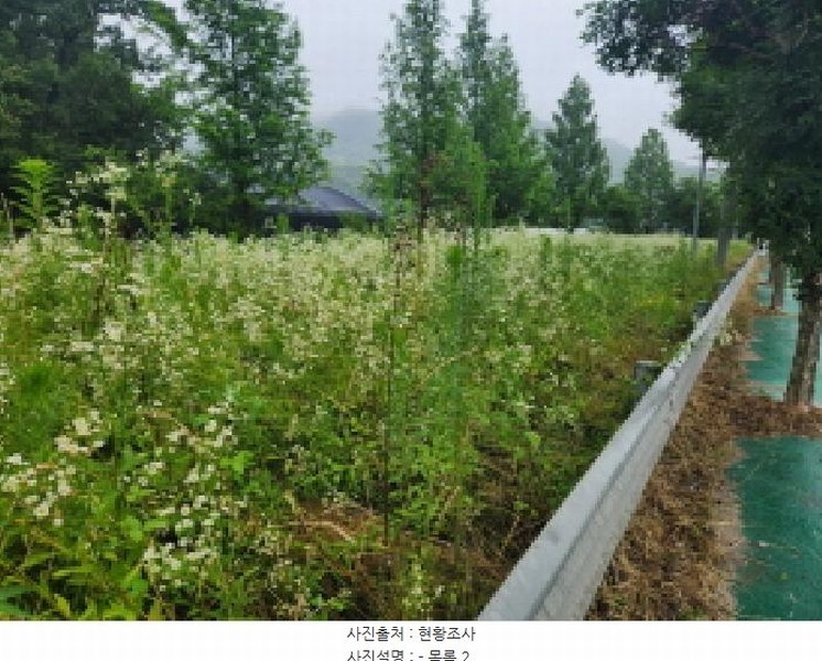 2025타경2357 경기도 양주시 마전동 441-10 농지 경매 이미지