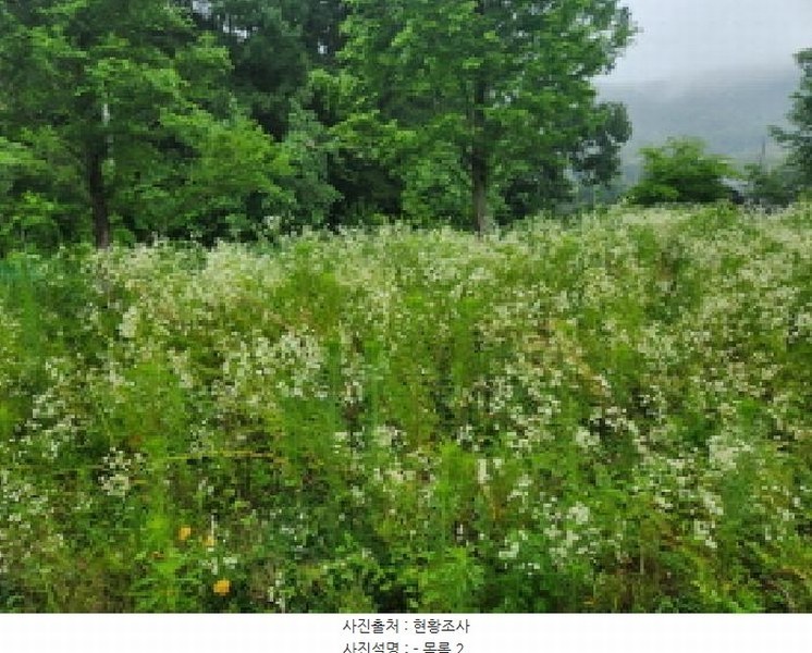 2025타경2357 경기도 양주시 마전동 441-10 농지 경매 이미지
