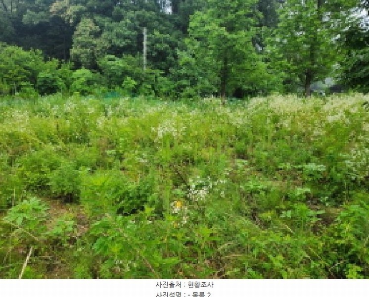 2025타경2357 경기도 양주시 마전동 441-10 농지 경매 이미지
