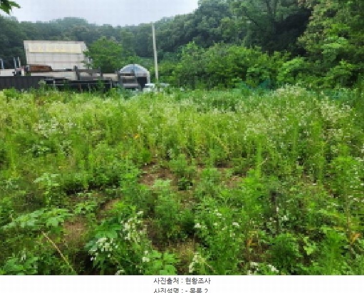 2025타경2357 경기도 양주시 마전동 441-10 농지 경매 이미지