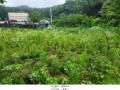 2025타경2357 경기도 양주시 마전동 441-10 농지 경매 이미지