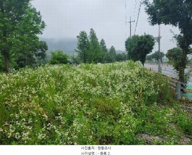2025타경2357 경기도 양주시 마전동 441-10 농지 경매 이미지