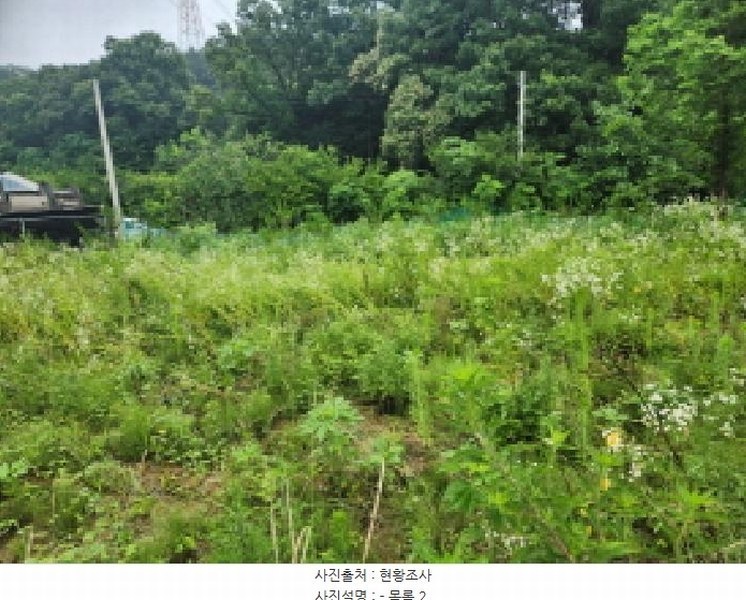 2025타경2357 경기도 양주시 마전동 441-10 농지 경매 이미지