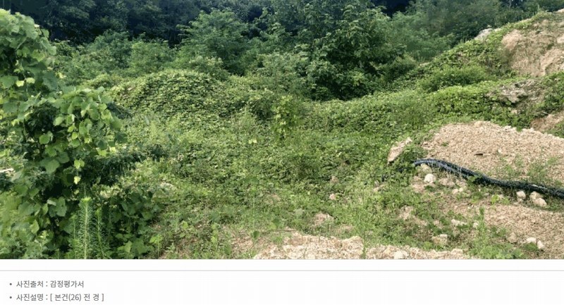 2025타경2647 충청북도 청주시 서원구 남이면 문동리 21-6 임야 경매 이미지