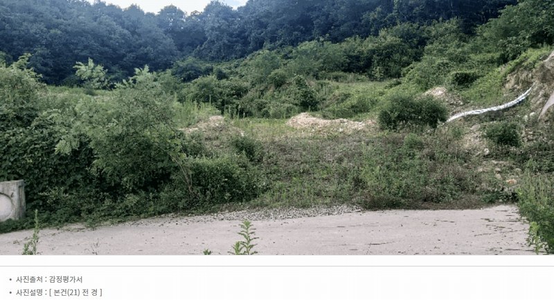 2025타경2647 충청북도 청주시 서원구 남이면 문동리 21-6 임야 경매 이미지