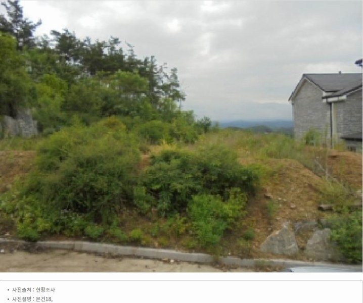 2025타경2647 충청북도 청주시 서원구 남이면 문동리 21-6 임야 경매 이미지