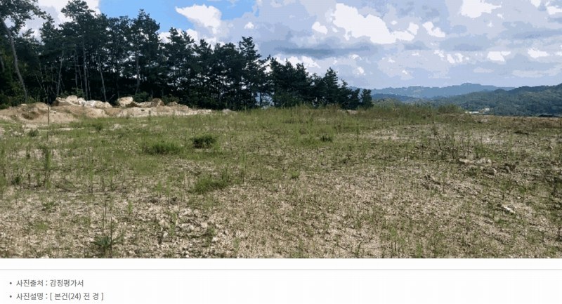 2025타경2647 충청북도 청주시 서원구 남이면 문동리 21-6 임야 경매 이미지