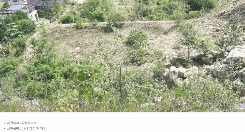 2025타경2647 충청북도 청주시 서원구 남이면 문동리 21-6 임야 경매 이미지