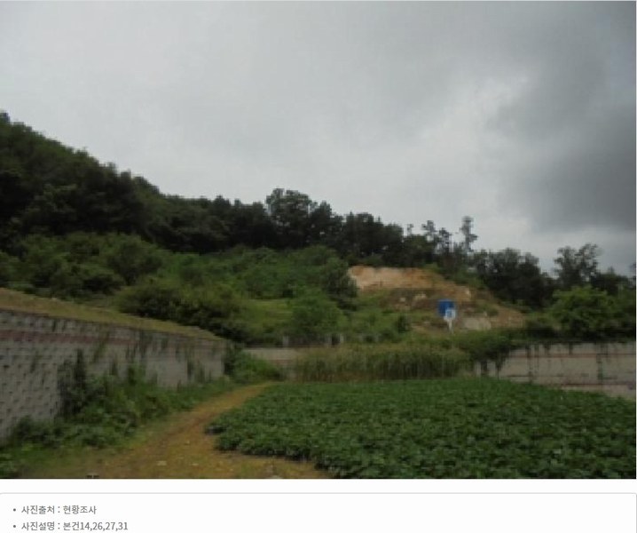2025타경2647 충청북도 청주시 서원구 남이면 문동리 21-6 임야 경매 이미지