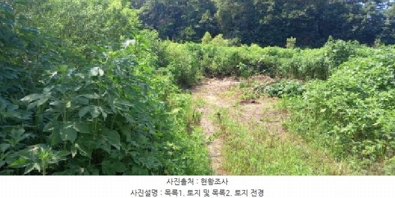 2025타경3046 경기도 포천시 일동면 길명리 83-1 농지 경매 이미지