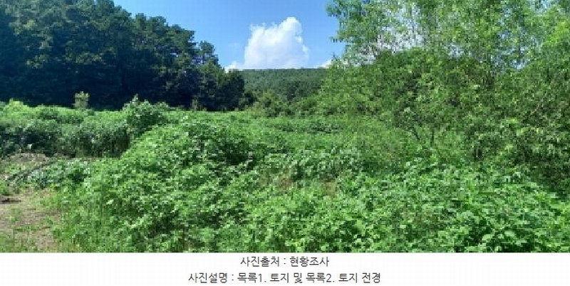 2025타경3046 경기도 포천시 일동면 길명리 83-1 농지 경매 이미지