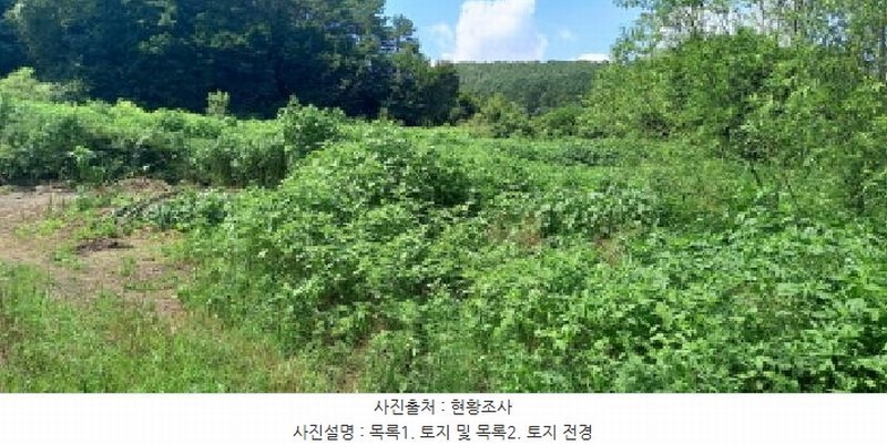 2025타경3046 경기도 포천시 일동면 길명리 83-1 농지 경매 이미지