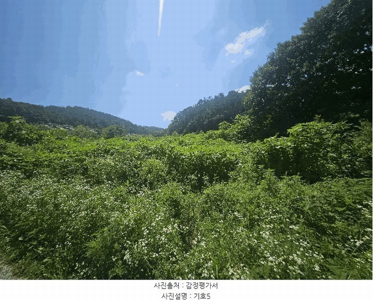 2025타경3046 경기도 포천시 일동면 길명리 83-1 농지 경매 이미지