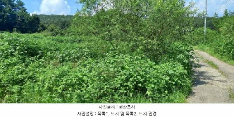 2025타경3046 경기도 포천시 일동면 길명리 83-1 농지 경매 이미지