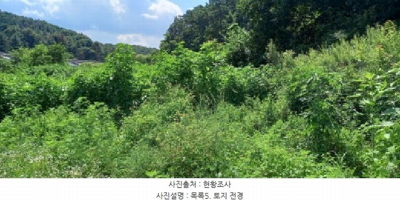 2025타경3046 경기도 포천시 일동면 길명리 83-1 농지 경매 이미지