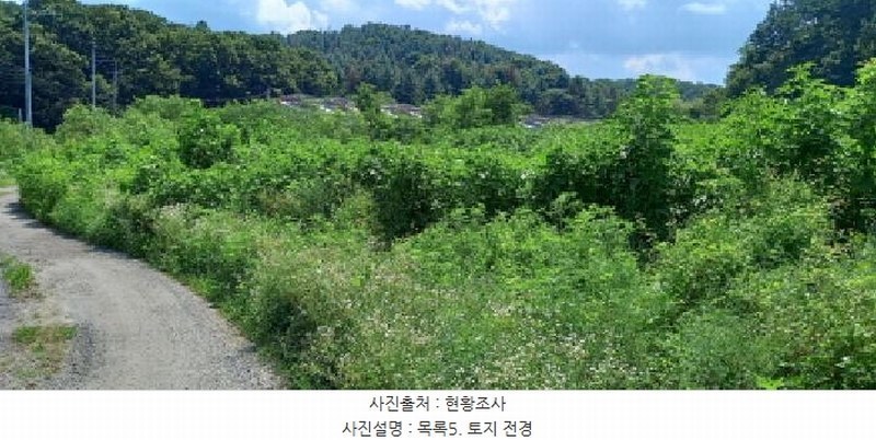 2025타경3046 경기도 포천시 일동면 길명리 83-1 농지 경매 이미지