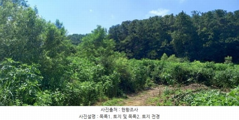 2025타경3046 경기도 포천시 일동면 길명리 83-1 농지 경매 이미지