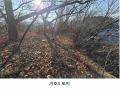 2025타경70060 경기도 포천시 가산면 가산리 428-1 공장 경매 이미지