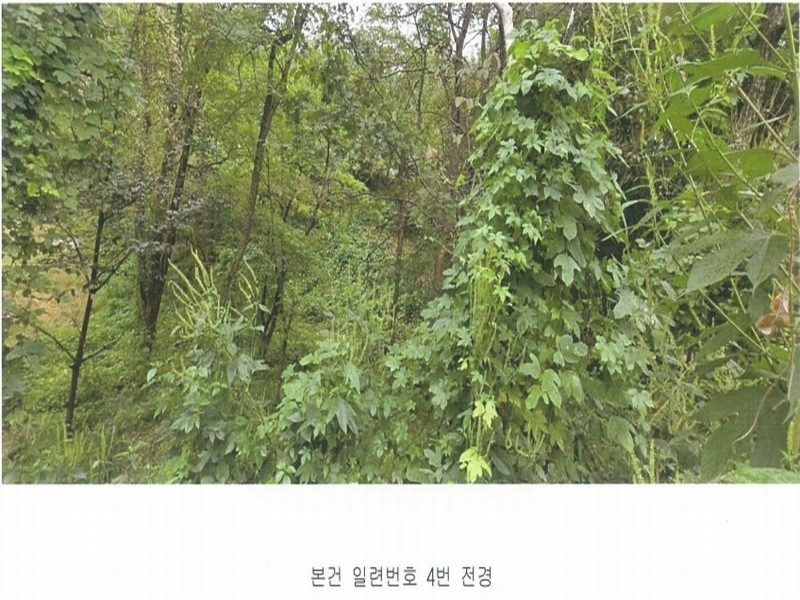 2020타경107804 서울특별시 종로구 평창동 425-2 임야 경매 이미지