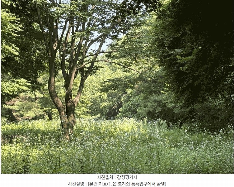 2025타경72482 경기도 포천시 가산면 마전리 14-4 잡종지 경매 이미지