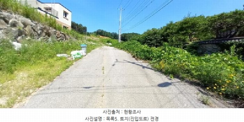 2025타경72524 경기도 연천군 백학면 통구리 산149-1 임야 경매 이미지