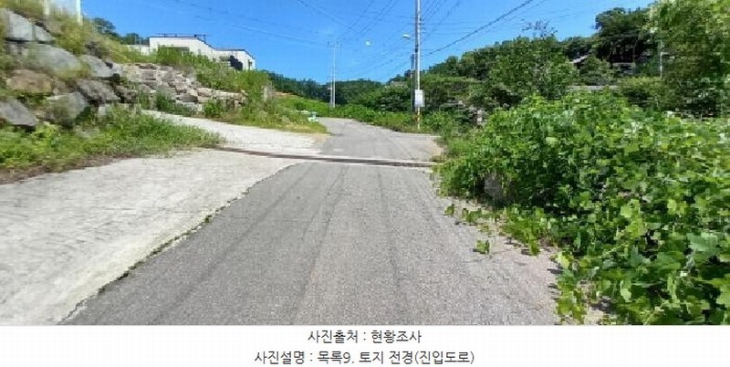 2025타경72524 경기도 연천군 백학면 통구리 산149-1 임야 경매 이미지