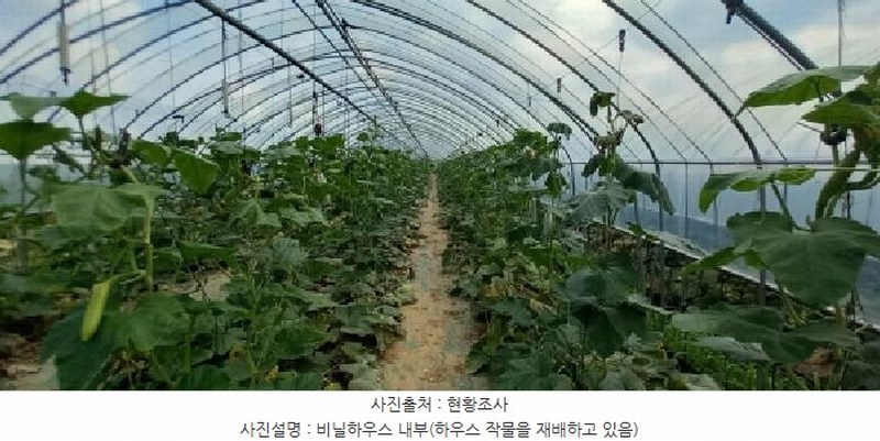 2025타경72746 경기도 포천시 군내면 좌의리 512 농지 경매 이미지