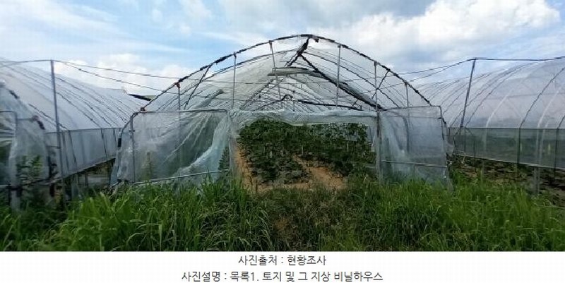 2025타경72746 경기도 포천시 군내면 좌의리 512 농지 경매 이미지