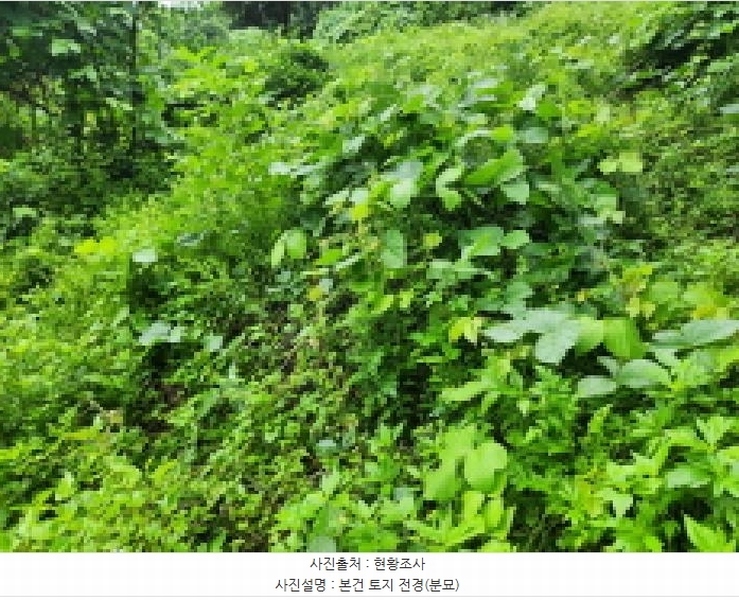 2025타경72497 경기도 동두천시 광암동 산38 임야 경매 이미지