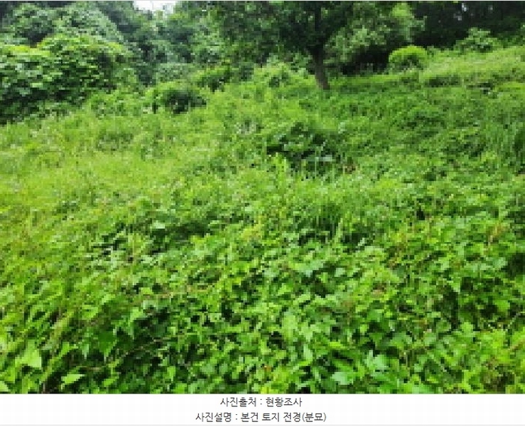 2025타경72497 경기도 동두천시 광암동 산38 임야 경매 이미지