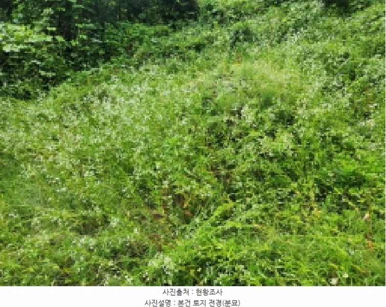2025타경72497 경기도 동두천시 광암동 산38 임야 경매 이미지