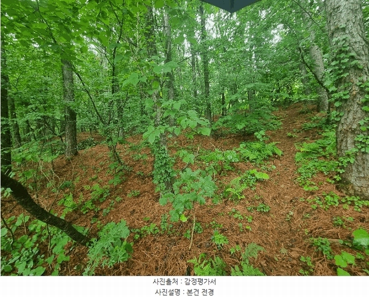 2025타경72497 경기도 동두천시 광암동 산38 임야 경매 이미지