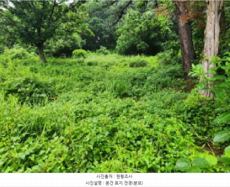 2025타경72497 경기도 동두천시 광암동 산38 임야 경매 이미지
