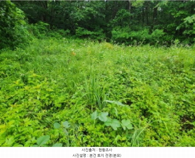 2025타경72497 경기도 동두천시 광암동 산38 임야 경매 이미지