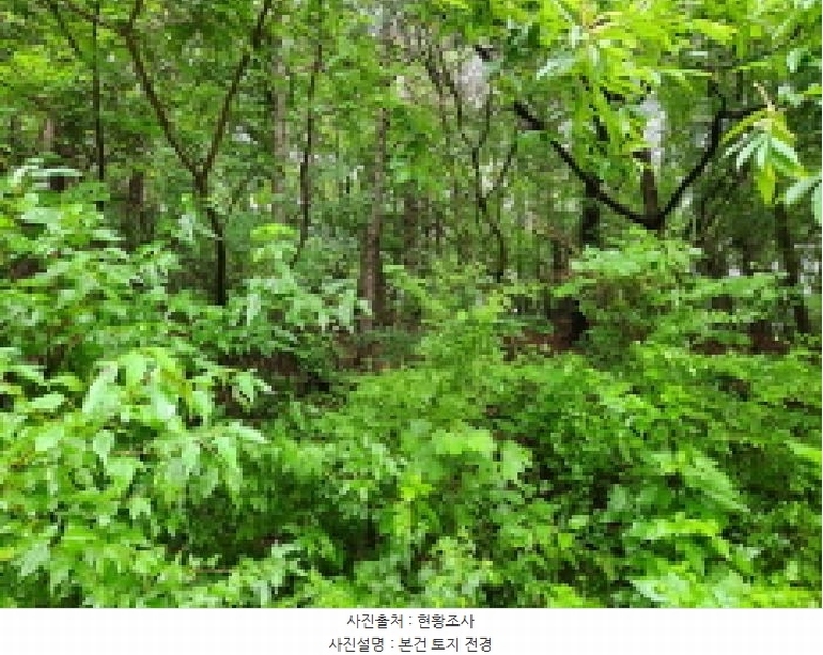 2025타경72497 경기도 동두천시 광암동 산38 임야 경매 이미지
