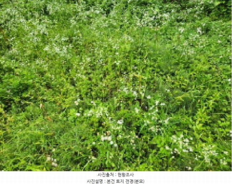 2025타경72497 경기도 동두천시 광암동 산38 임야 경매 이미지