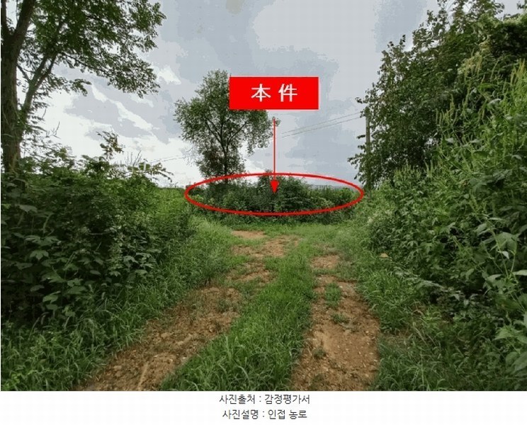 2025타경72619 경기도 포천시 영중면 양문리 325 농지 경매 이미지