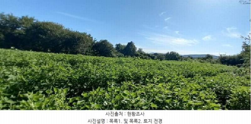 2025타경72619 경기도 포천시 영중면 양문리 325 농지 경매 이미지