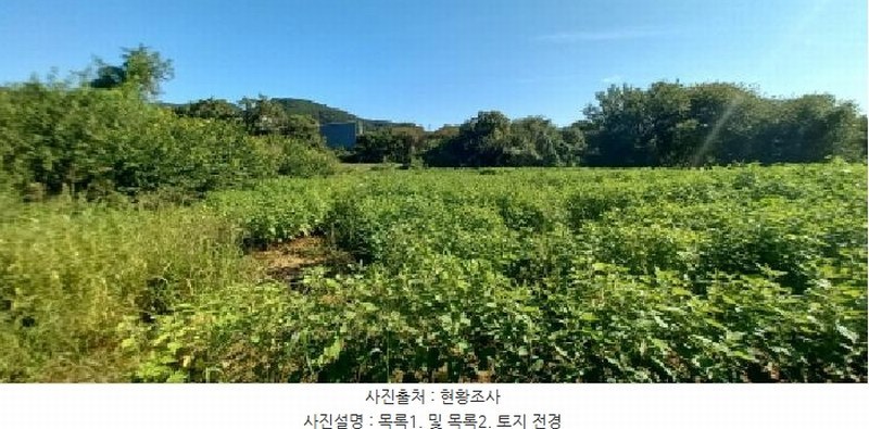 2025타경72619 경기도 포천시 영중면 양문리 325 농지 경매 이미지