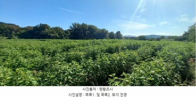 2025타경72619 경기도 포천시 영중면 양문리 325 농지 경매 이미지